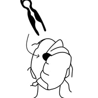 Épingle à cheveux française