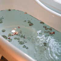 Trousse immersive - Nordique