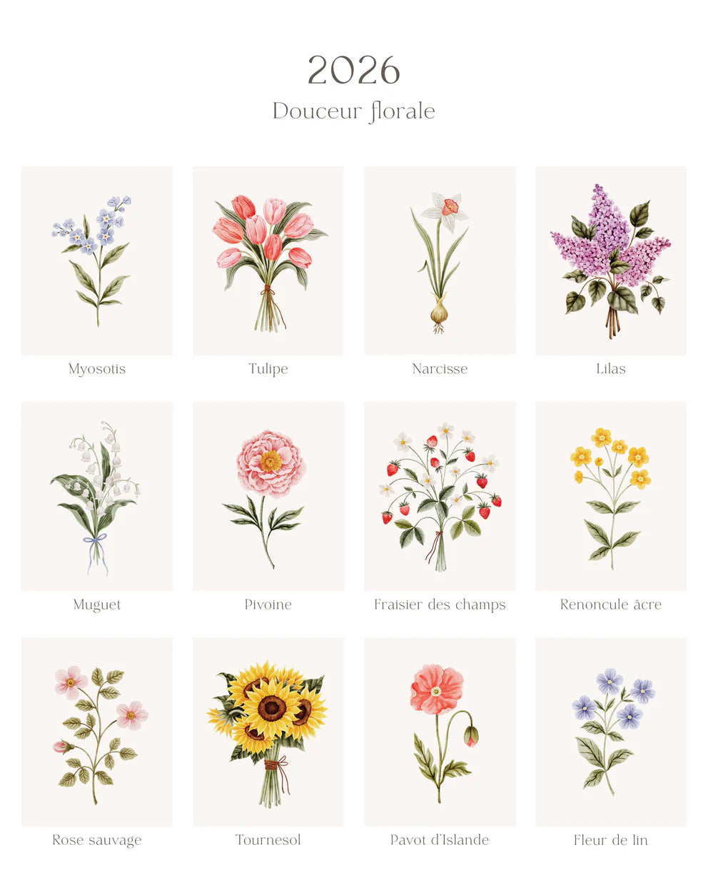 Calendrier 2026 - Douceur florale