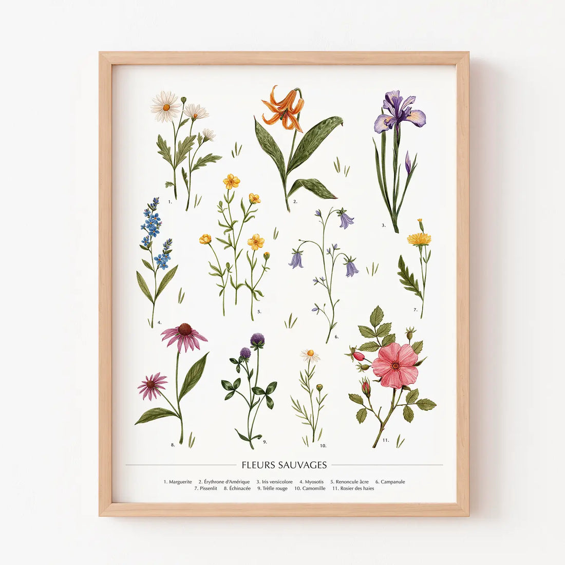 Affiche - Les fleurs sauvages