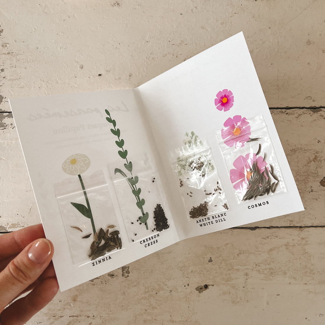 Semences - Bouquet Papillon