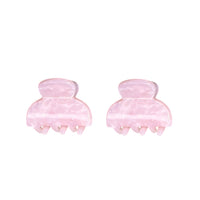 Ensemble de deux petites pinces