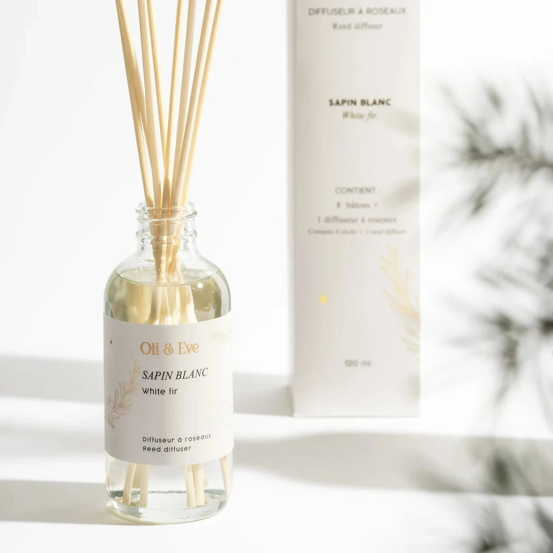Diffuseur à roseaux - Sapin Blanc
