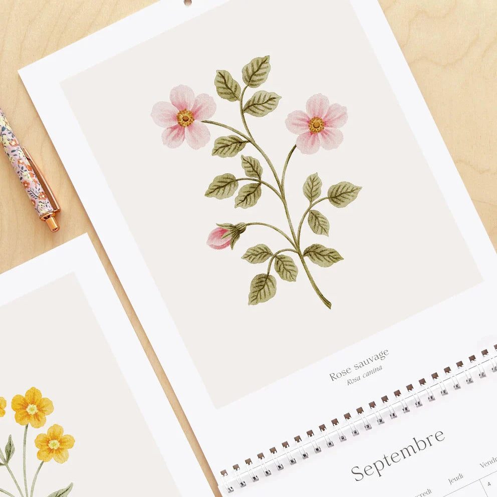 Calendrier 2026 - Douceur florale