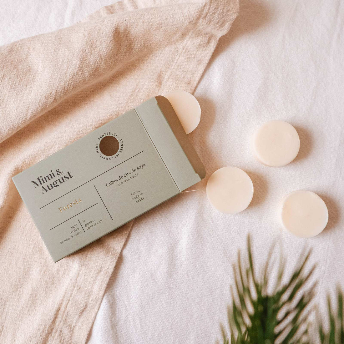 Cubes de cire - Foresta