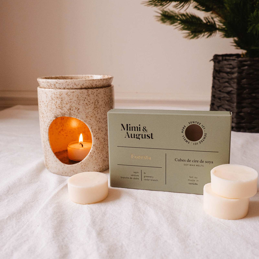 Cubes de cire - Foresta