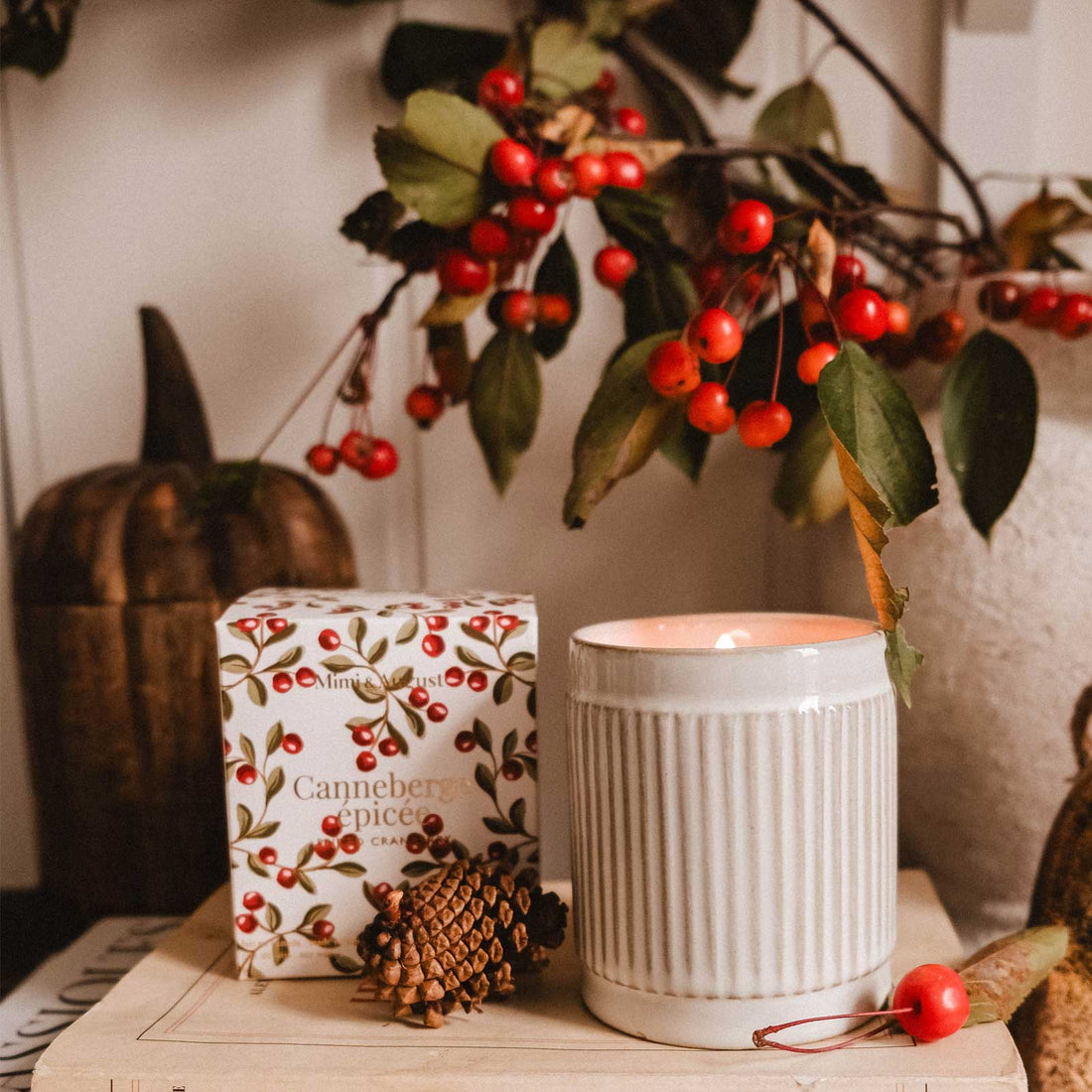 Bougie de Noël - Canneberge épicée
